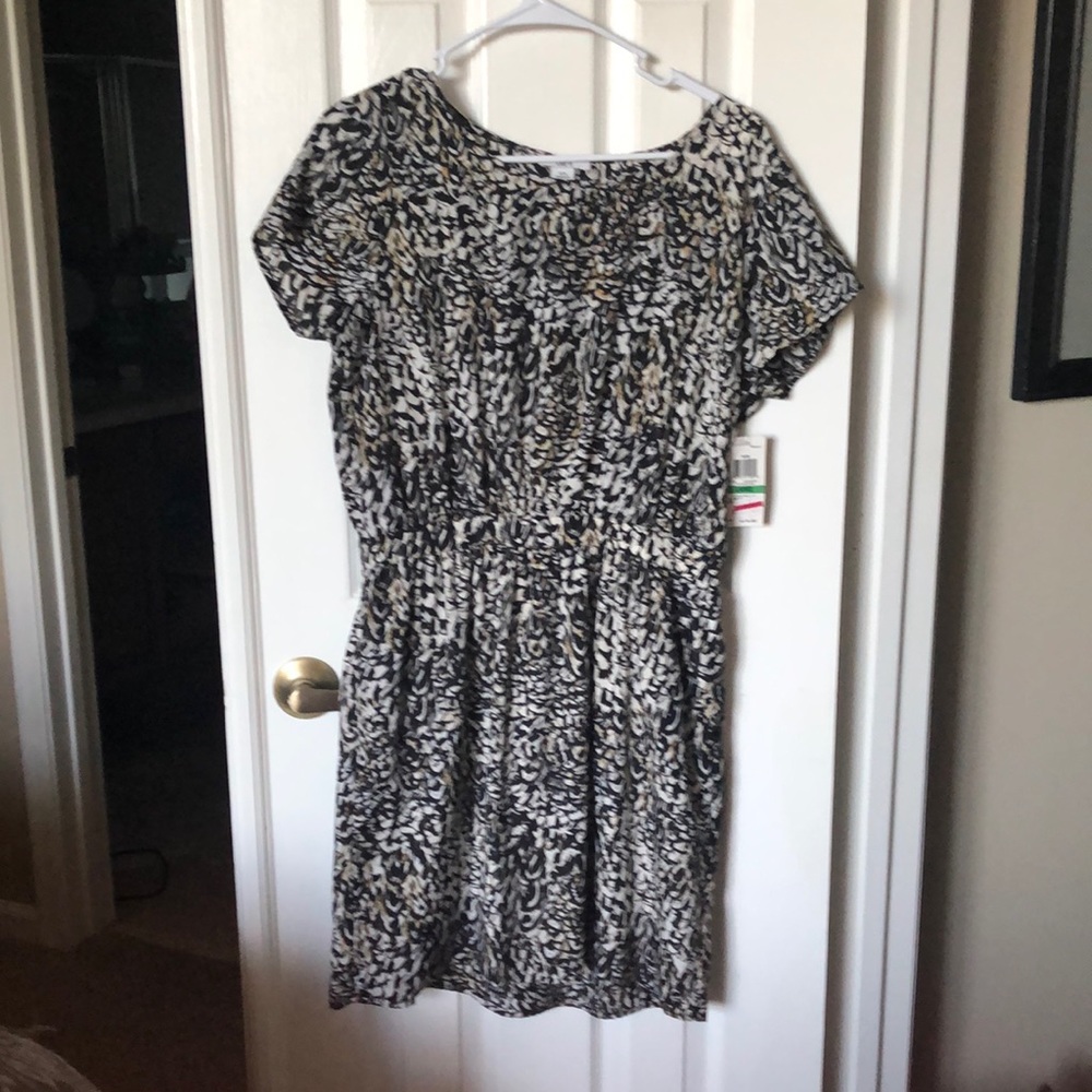 Woman’s Dress